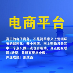 电商平台